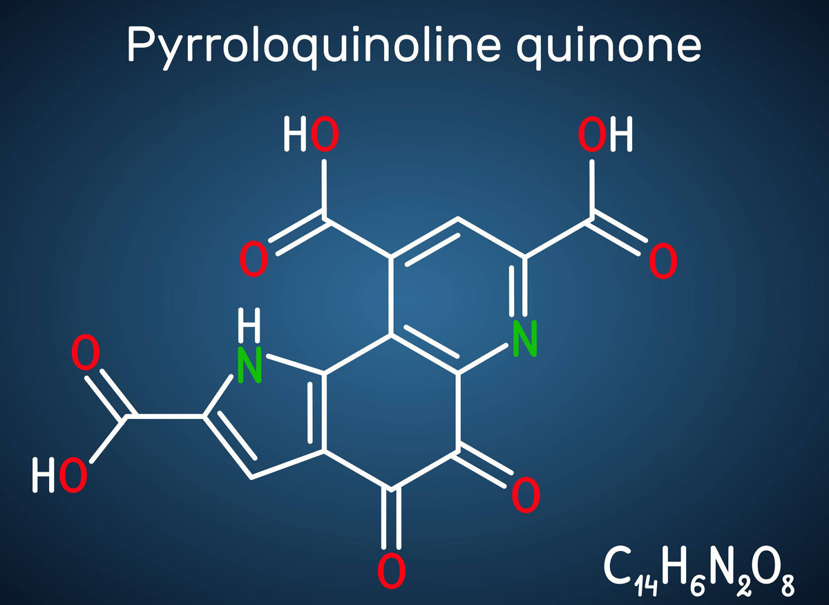 Benefits of PQQ Supplement (2021 Edition)