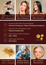 Load image into Gallery viewer, FEEL ALIVE - NMN-XR: NMN Resveratrol + All Vitamins & Minerals, Anti-Ageing, Energy, Virility & Fertility, Peri & Menopause Support - unisex