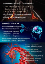 Load image into Gallery viewer, Energise-X Drink & Sublingual Powder, NAD+ NMN CoQ10 Vitamins - Increase Energy, Reduce Fatigue - Anti-Ageing