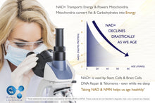 Load image into Gallery viewer, Buy NMN & NAD+ Supplement Powder - Pharmaceutical Grade 99.78% Purity NAD+ NMN BioTech Life Sciences