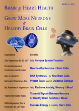 Load image into Gallery viewer, IQ2 NMN - Brain &amp; Heart Health - Grow New Brain Cells - Mental Performance + Exam &amp; Study Aid + Hair Skin
