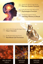 Load image into Gallery viewer, IQ3 &amp; Pro Vitality 1  - VIRILITY, Male Performance, Fertility, Pregnancy &amp; Nursing Support - Unisex - NMN &amp; NAD+ Partner
