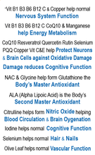 Load image into Gallery viewer, IQ3 &amp; Pro Vitality 1  - VIRILITY, Male Performance, Fertility, Pregnancy &amp; Nursing Support - Unisex - NMN &amp; NAD+ Partner
