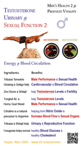 Prostate Vitality 2: Testosterone Plus Libido & Virility